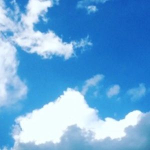 Meet your Posher, Beverly